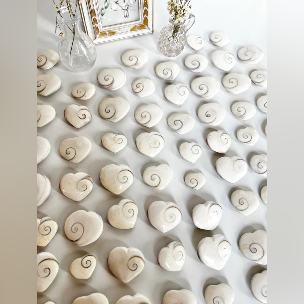 One Shiva Heart Shell Pastel - Picture 5 of 9